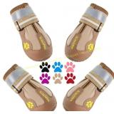 QUMY Dog Shoes - Water-Resistant Boots and a cat s