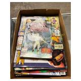 Flat of Comic Books