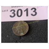1900 Indian head penny