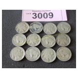 Twelve Buffalo nickels
