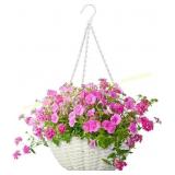 Panacea Resin Wicker Hanging Basket 14in white