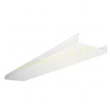 Lithonia Lighting 4 ft Replacement Lens