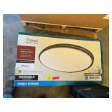 Patient ceiling light