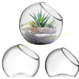 INOOMP 3 Pcs Glass Terrariums for Plants