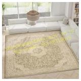 Nourison florentine 7x9ft Area Rug