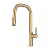 Torak 2-Function Faucet with Brass Finish