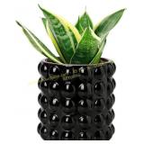 DILATATA 6-Inch Ceramic Planter with Drainage