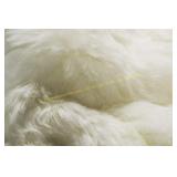 HomeRoots White 2