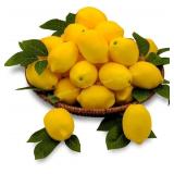 Fake Lemon & Lime Decor 20Pcs, Plastic Lemons