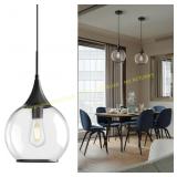 Matte Black Pendant Light - Glass Globe 10"