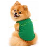 Petitebella Puppy Shirt (Kelly Green)
