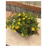 12 in hanging basket