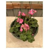 12 in hanging basket
