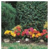 2ct Green Powder Coated Metal Garden Edging