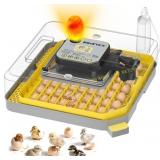 IBKINXX 48-Egg Incubator: Auto Turner
