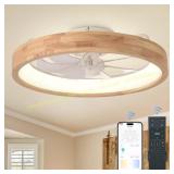 20" Ceiling Fan with Light, 3-Color LED