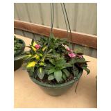 12 in annual hanging basket