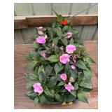 6 in pot assorted annuals (bidx8)