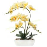 Phalaenopsis Silk Orchid in Pot (Yellow)