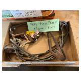 Horse Bridle with Silver + Brass