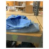 XL blue shirt and Sz 16 Denim shorts