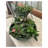 12 in annual flowerbasket