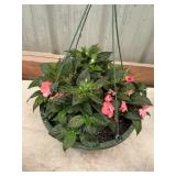 12 in annual flowerbasket