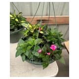 12 in annual flowerbasket
