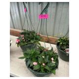 12 in annual flowerbasket