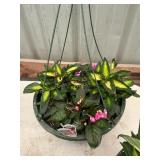 12 in annual flowerbasket