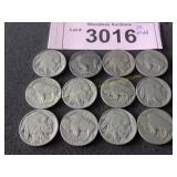 Twelve Buffalo nickels