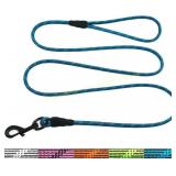 WYuZe Reflective X-Small Dog Leash 6FT, 1/5"