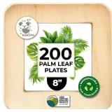 Koala Love Palm Leaf Plates 8" 200 Bulk