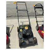 Poulan Pro 21 in push mower
