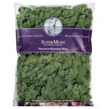 SuperMoss Reindeer Moss Preserved, Basil