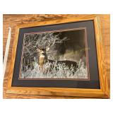 Framed Wildlife Print