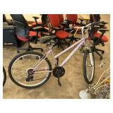 Road master bike