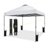 10x10 Recreational Centerlok Canopy RS100C