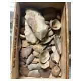 Arrowheads, Shells & Rocks