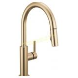 Delta Faucet Nicoli Kitchen Faucet Sprayer