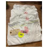 4ct Size 2XL V Neck Hanes Under Shirts