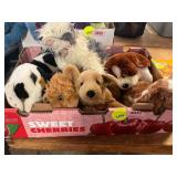 Flat of Dog Stuffed Animals