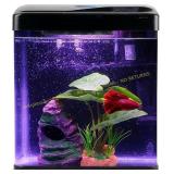 Betta Tank Self-Cleaning Glass 2gal Aquarium