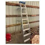 Werner 8 ft ladder