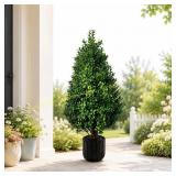 27.6" Boxwood Topiary Trees in Planter (1)