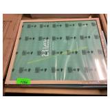 Picture frame and screen protector
