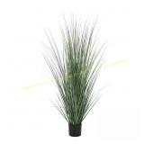 61 in. Tall Onion Grass Plant in Plastic Pot
