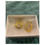 Unverified Horseshoe Western Earrings