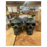 2ct. Fiber Optic Skull