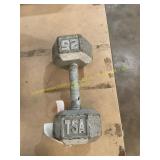 TSA Dumbbell 25 lb
